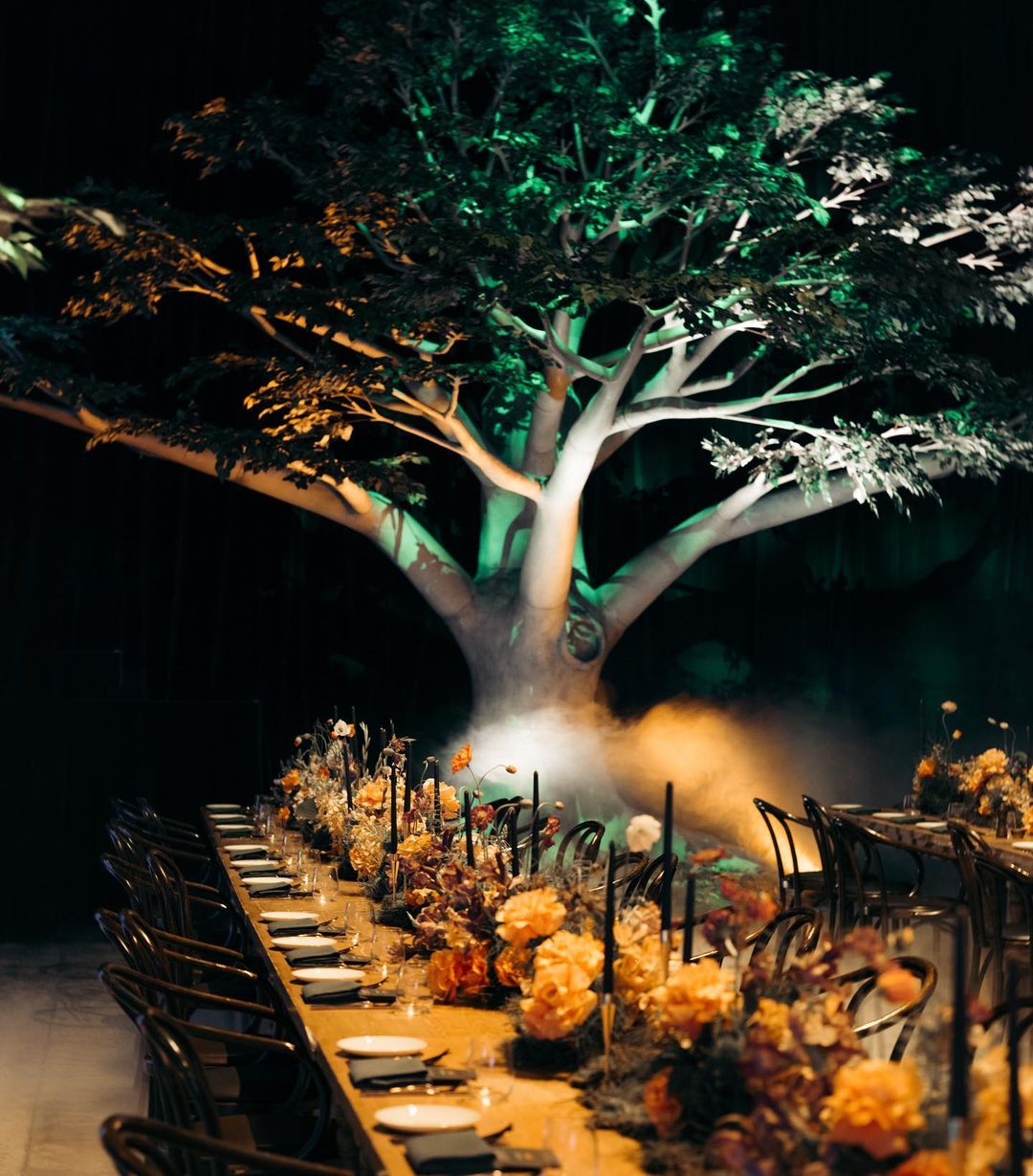 Elegant wedding reception with long table set with floral centerpieces, candles, plates and chairs under a large illuminated tree.