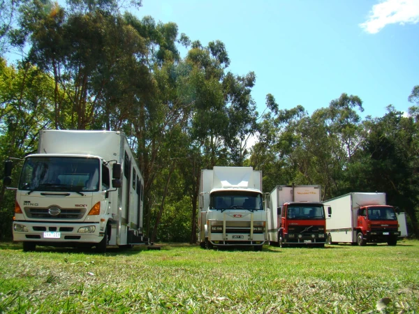 Several white and red trucks are parked in a grassy field surrounded by trees under a clear blue sky, creating a bright outdoor scene.