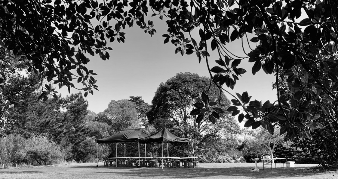 Black and white outdoor shot of two dark tents with picnic tables on a grassy field, surrounded by trees and foliage.