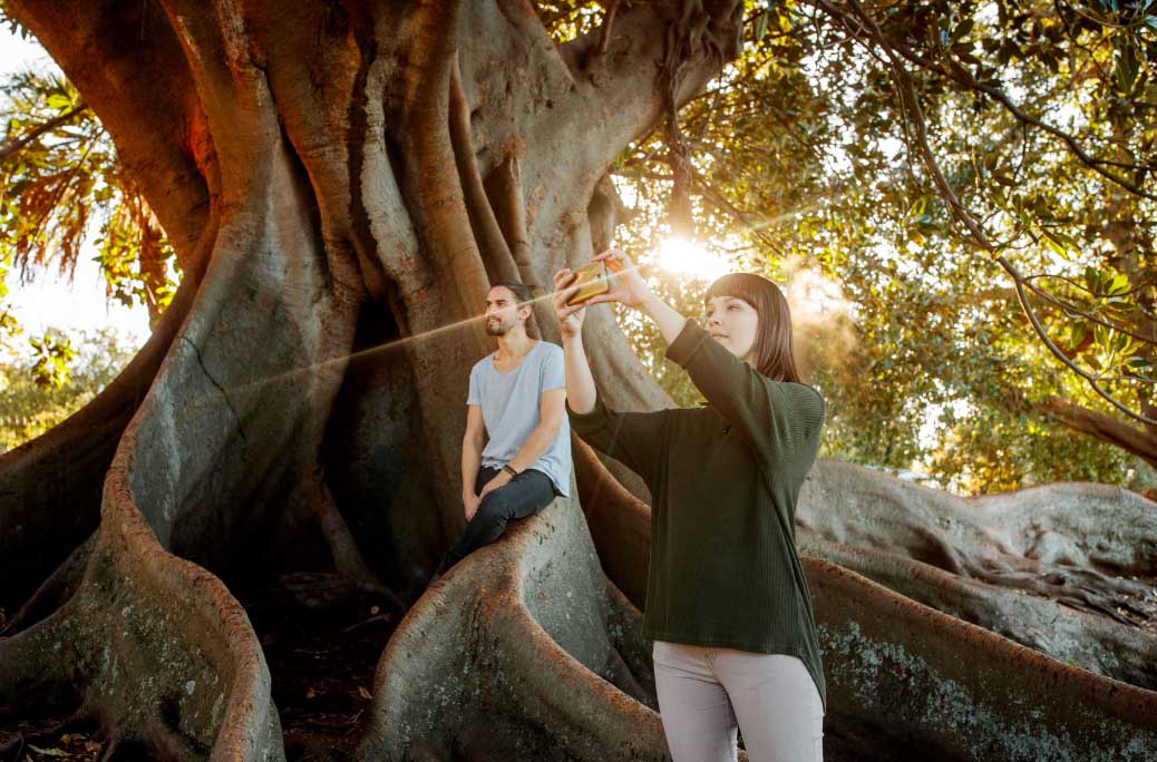 Woman uses her smartphone to frame a man sitting on the roots of a large tree in an outdoor park setting, with bright natural lighting.
