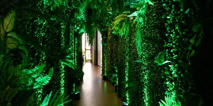 Green-lit walkway surrounded by foliage in an indoor space with a neutral-colored floor and an opening leading to a brighter area.