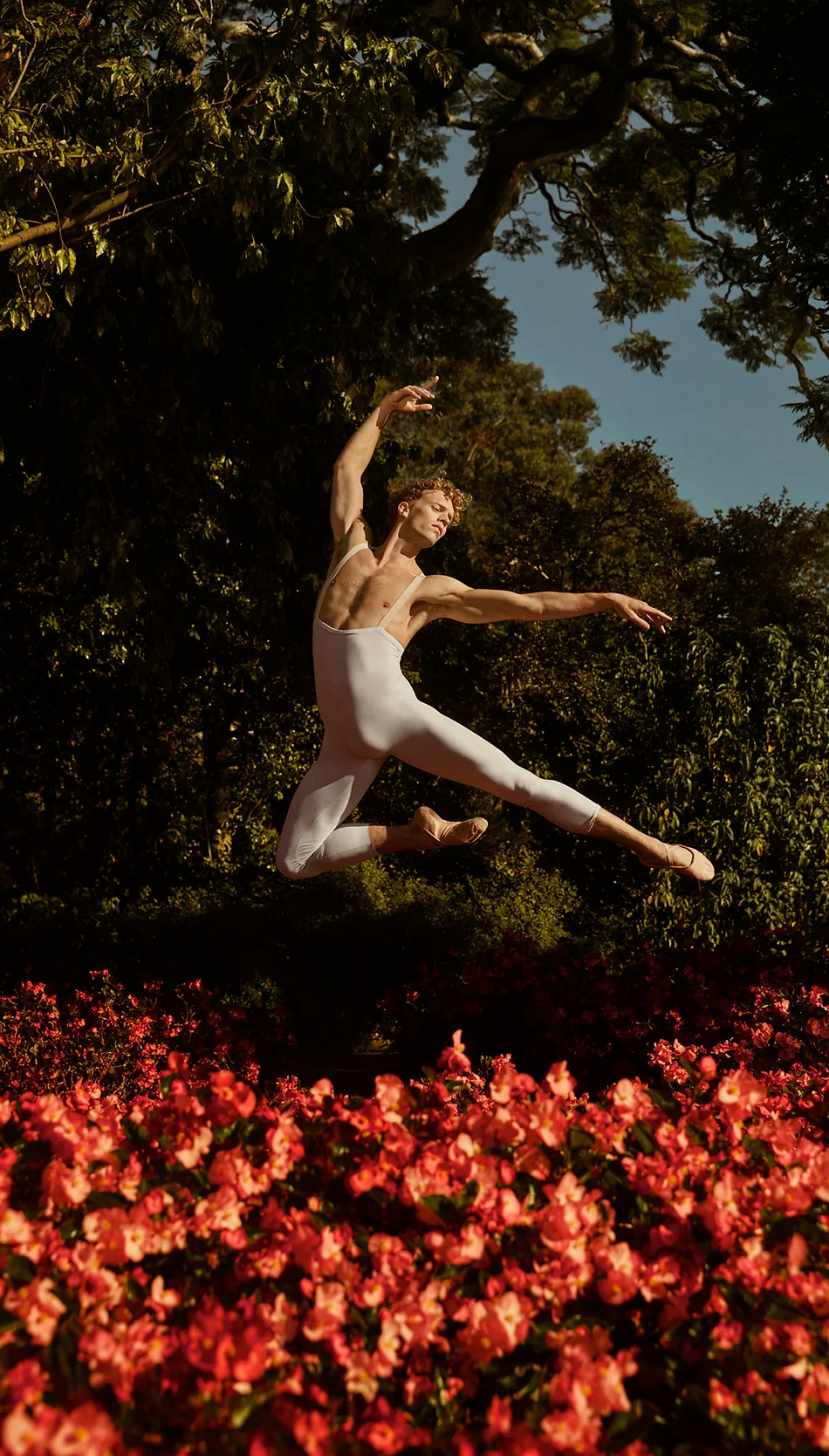 Ballet dancer leaps dramatically among blooming red flowers and green foliage in an outdoor setting under a bright sky.