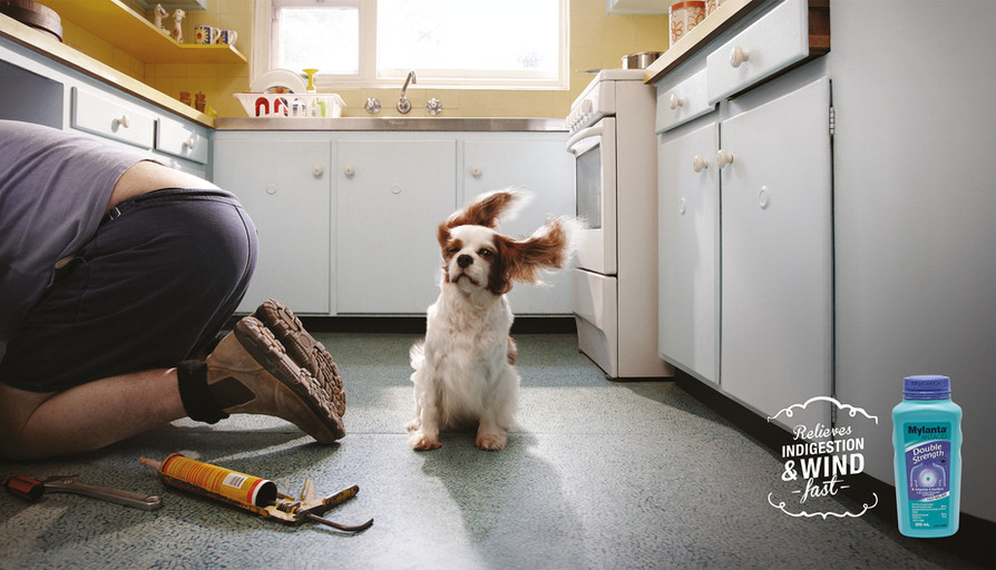 Dog in kitchen with wind-blown ears, kneeling man, and household cleaning products. Home interior shows light blue cabinets and yellow trim.