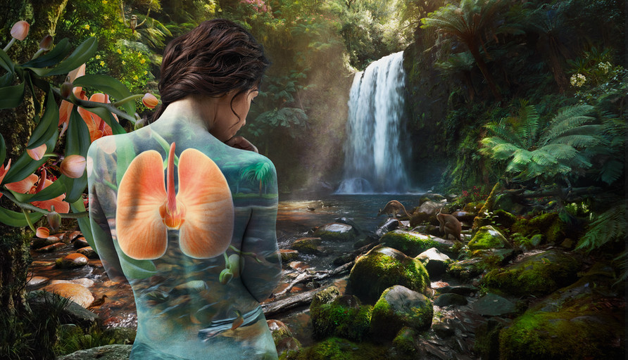 Surreal image of a woman with lungs superimposed on her back, standing in a lush rainforest with a waterfall, stream, rocks, and foliage.