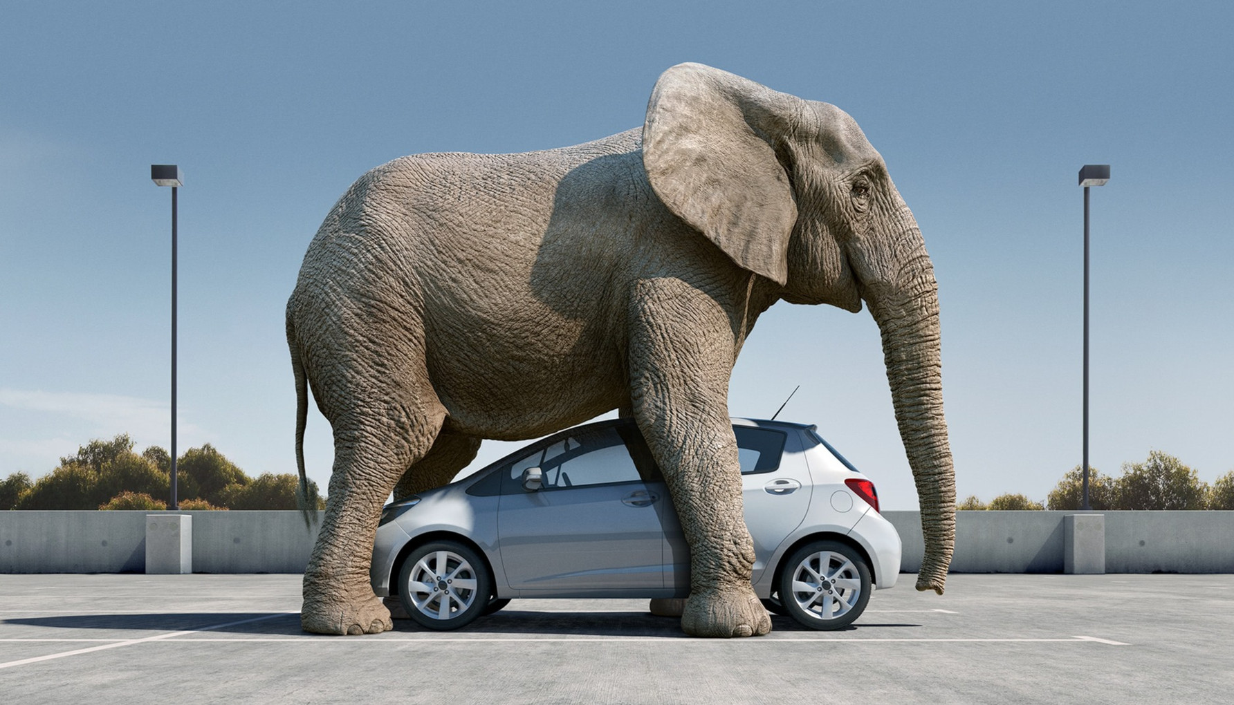 An elephant stands on a car in a parking lot, seemingly crushing it. The scene is set under a clear blue sky with minimal background detail.