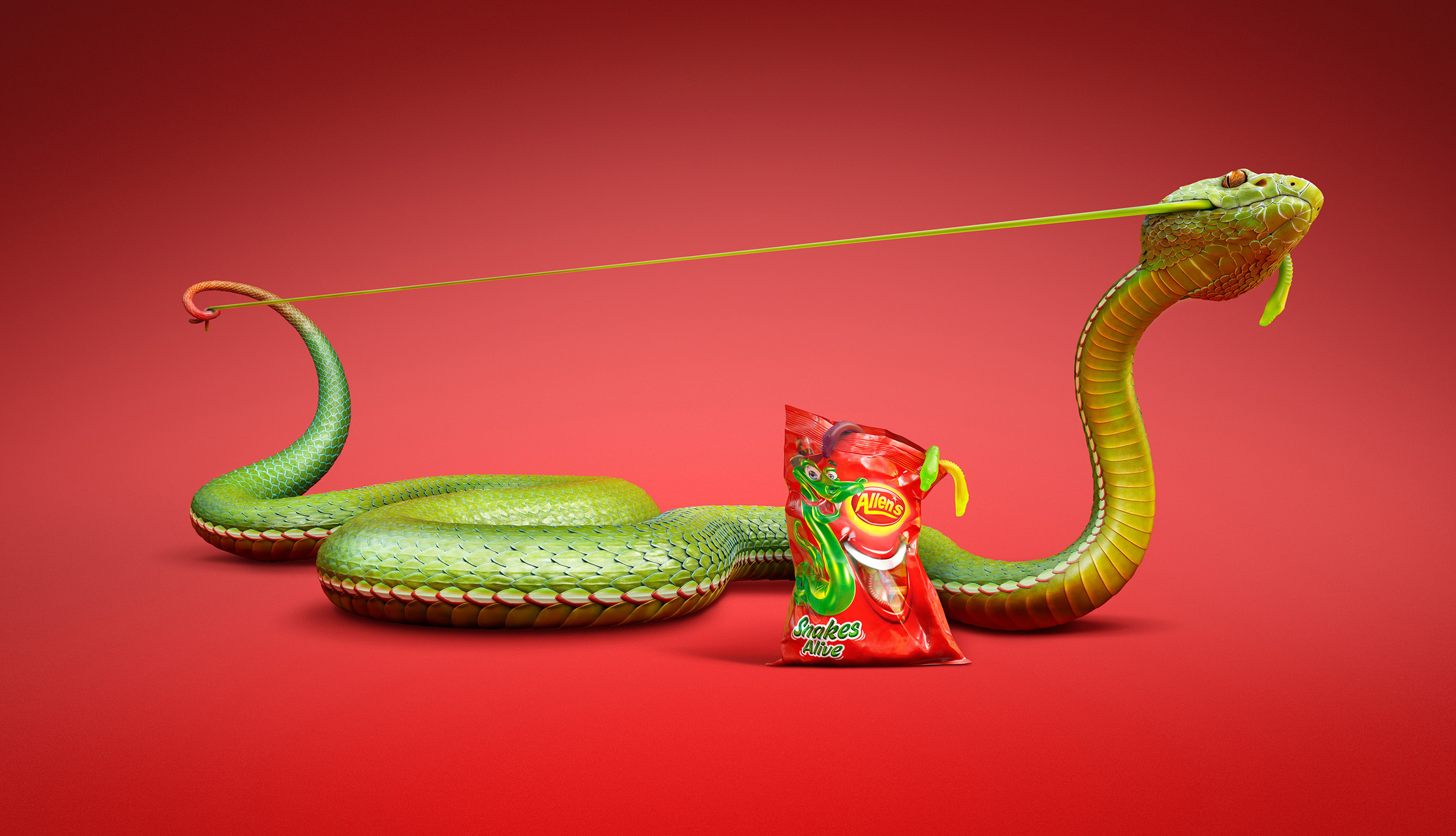 Green snake shaped like a slingshot holding a bag of Allen's Snakes Alive candy against a vibrant red studio backdrop. 