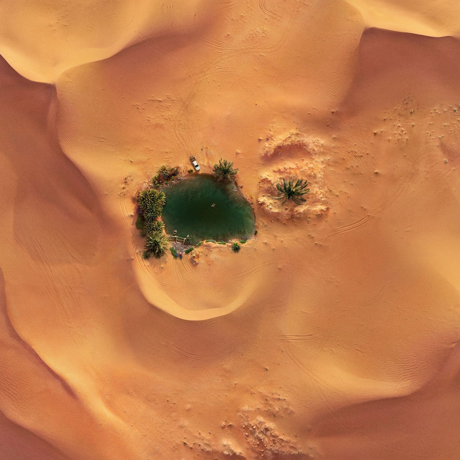 Aerial view of a desert oasis with a green pool of water surrounded by palm trees and rippling sand dunes in golden light.
