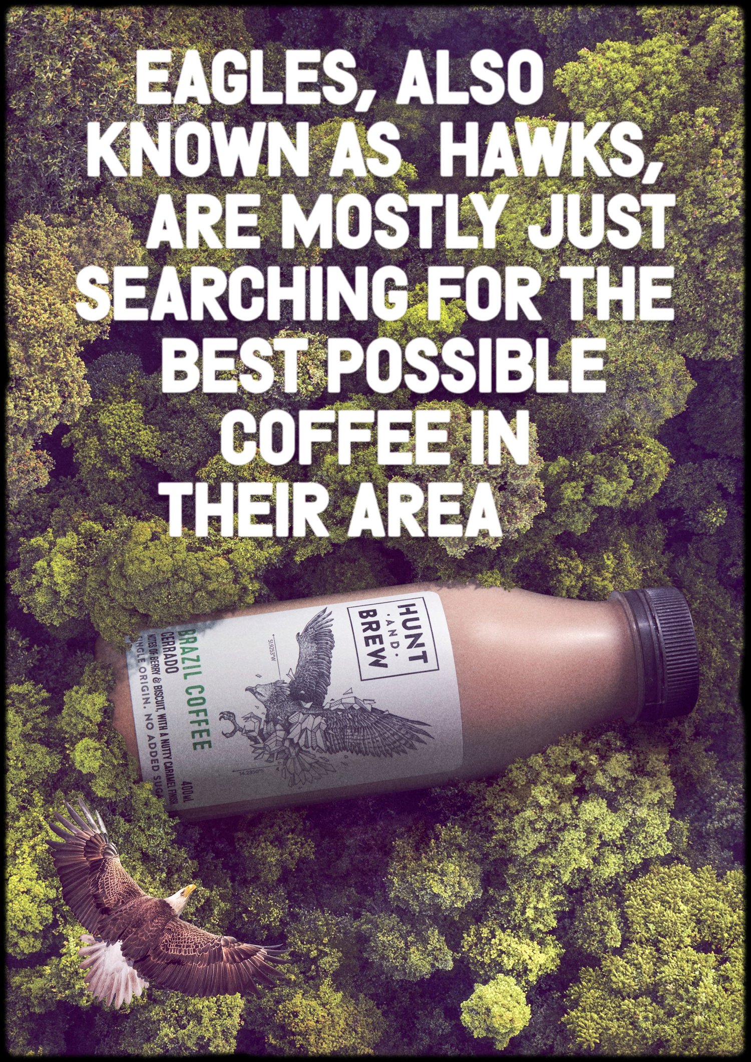 Coffee ad featuring an eagle illustration on the label and a real eagle in flight, set against a background of green foliage.