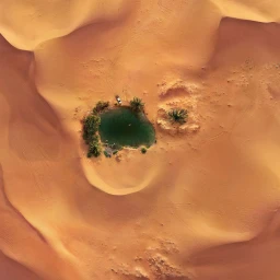 Aerial view of a secluded desert oasis with a small green water pool and palm trees surrounded by vast orange sand dunes.