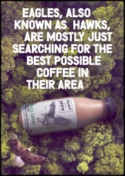 Coffee bottle and flying eagle overlaid on top-down dense green forest canopy aerial photograph