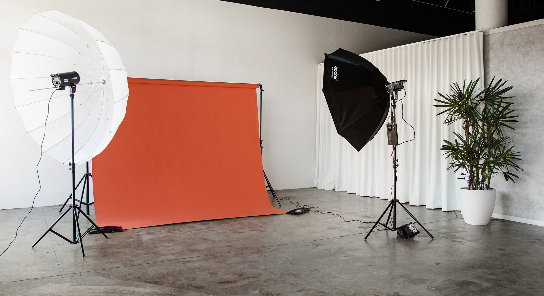 Photo studio setup featuring orange backdrop, umbrella light, softbox light, houseplant in white pot, concrete floor, and white walls.
