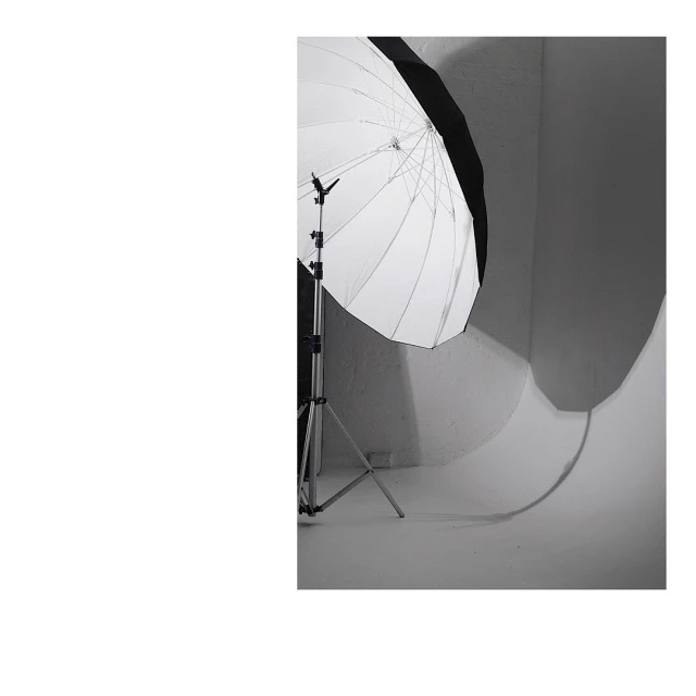 The Dale Studio