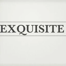 Exquisite Mgmt
