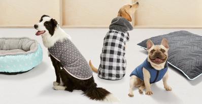 Three dogs wearing vests and a hoodie, sitting near a dog bed and cushion on a white surface against a light wood wall. Pet products.