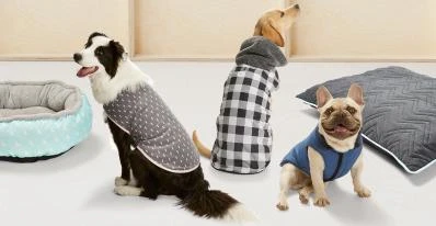 Three dogs wearing vests and a hoodie, sitting near a dog bed and cushion on a white surface against a light wood wall. Pet products.