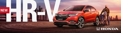 Red Honda HR-V parked in an outdoor setting with a man standing next to it with his dogs, showcasing urban and automotive elements.