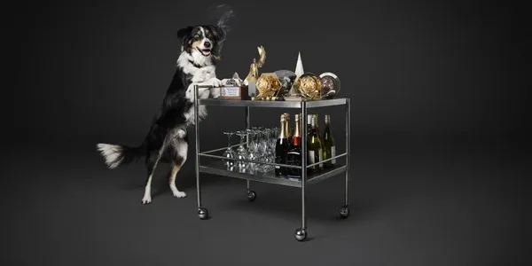Border Collie dog stands on hind legs by a rolling bar cart in studio setting, showcasing champagne, wine glasses, and awards on a dark background.