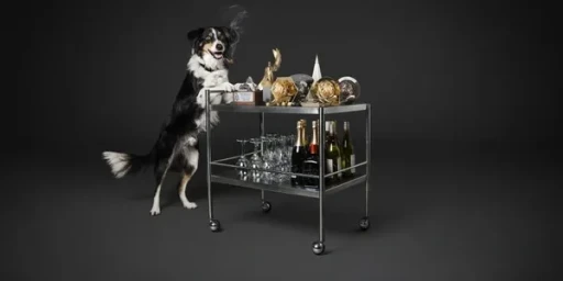 A black and white dog standing on its hind legs leaning on a metallic bar cart loaded with glassware and bottles