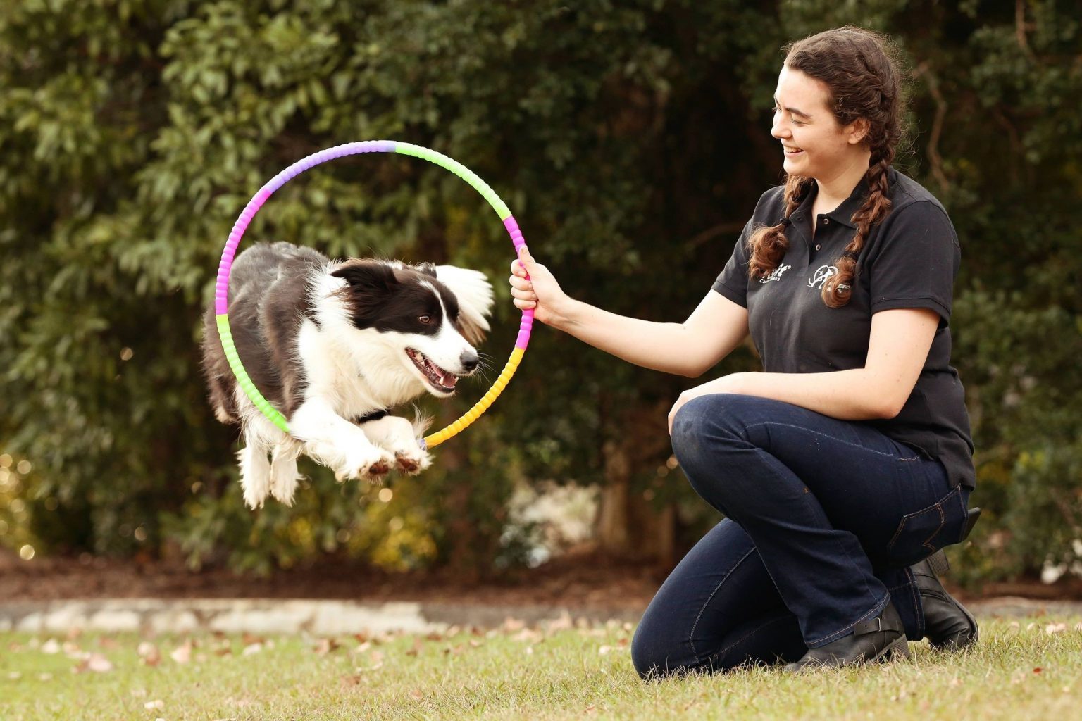 Black and white dog jumps through a colorful hoop held by a smiling woman in an outdoor grassy setting. Canine agility training.