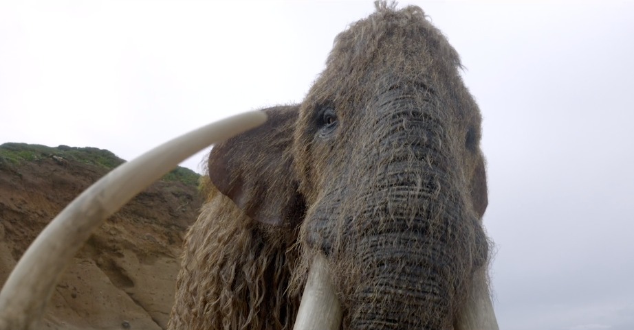 Close-up of a woolly mammoth with massive tusks in a natural outdoor setting, highlighting its textured fur and imposing size.