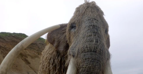 Close-up of a shaggy woolly mammoth with large curved tusks against a coastal cliff and pale overcast sky.