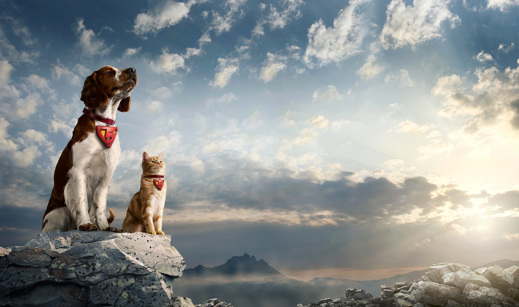 Dog and cat sit on rock against a sky backdrop wearing superhero costumes, in an outdoor, daytime setting with rocks and distant mountains.