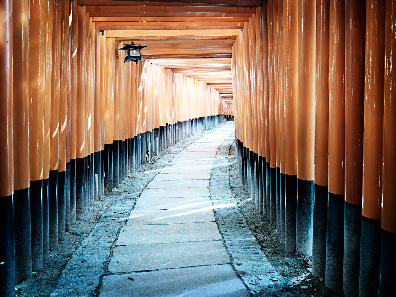 Fushimi Inari-taisha shrine in Kyoto, Japan with thousands of vermillion torii gates forming a tunnel over a stone pathway.