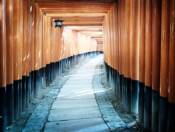 Fushimi Inari-taisha shrine in Kyoto, Japan with thousands of vermillion torii gates forming a tunnel over a stone pathway.