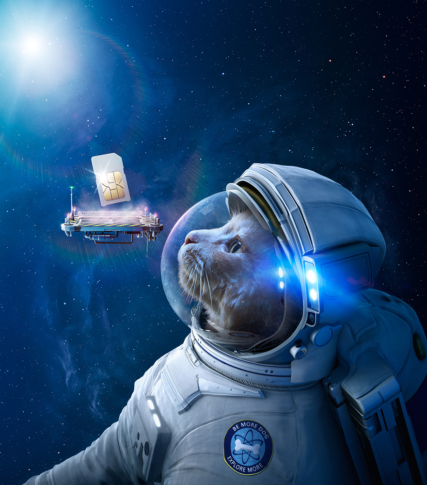 Whimsical digital art featuring a cat astronaut in a space suit looking up at a SIM card floating near a space station against a nebula backdrop.