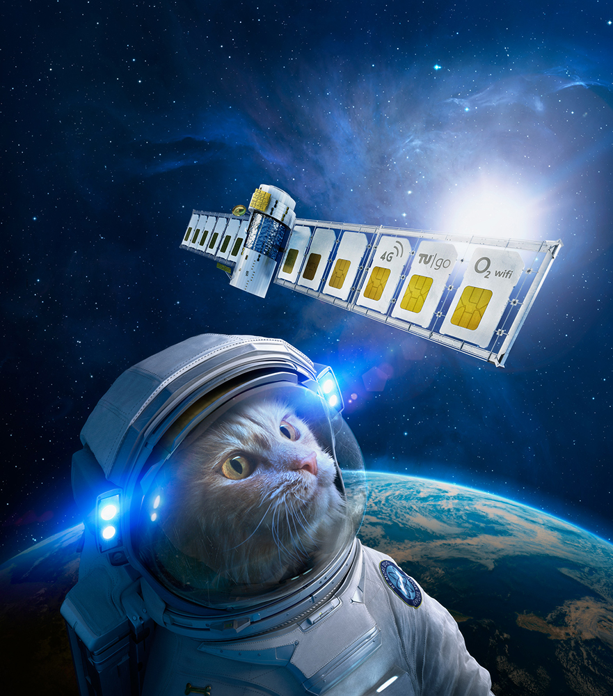 Digital art of a cat in a spacesuit looking at a satellite in space with a blue and green Earth in the background.