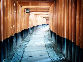 Long stone pathway winding through an endless tunnel of bright orange torii gates photographed by Todd Antony