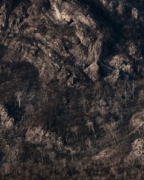 Rocky mountainside covered with sparse trees and undergrowth, creating a rugged and textured landscape with a muted color palette.