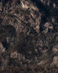 Aerial view of a rugged rocky mountain slope scattered with bare trees in winter by photographer Adam Kola.