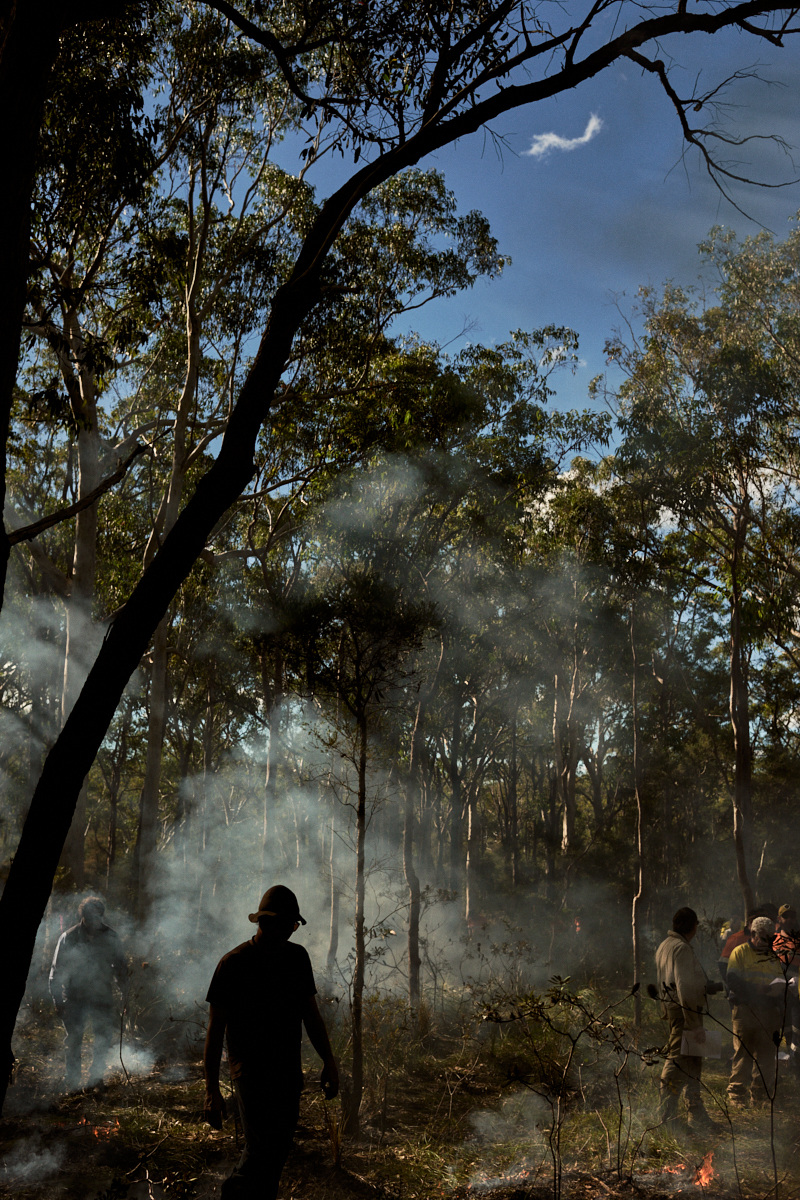 Silhouetted person walks through smoky forest clearing, surrounded by tall trees under a partly cloudy, blue sky at daytime.