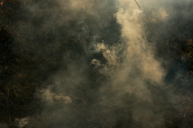 Low angle view of smoke and burnt grass in a dark field. Neutral, desaturated color palette.