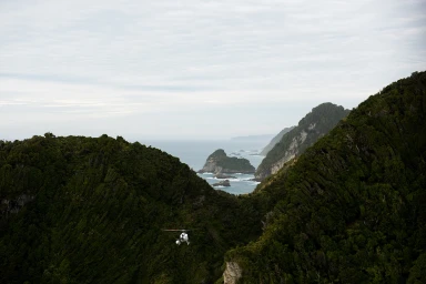 A small helicopter flying over dense green forested mountain valleys toward a rocky coastline and ocean by Alex Brunton