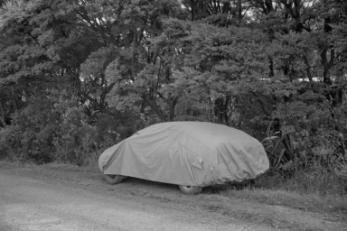 A car covered with a protective tarpaulin parked on a dirt path in front of dense trees, captured in monochrome.