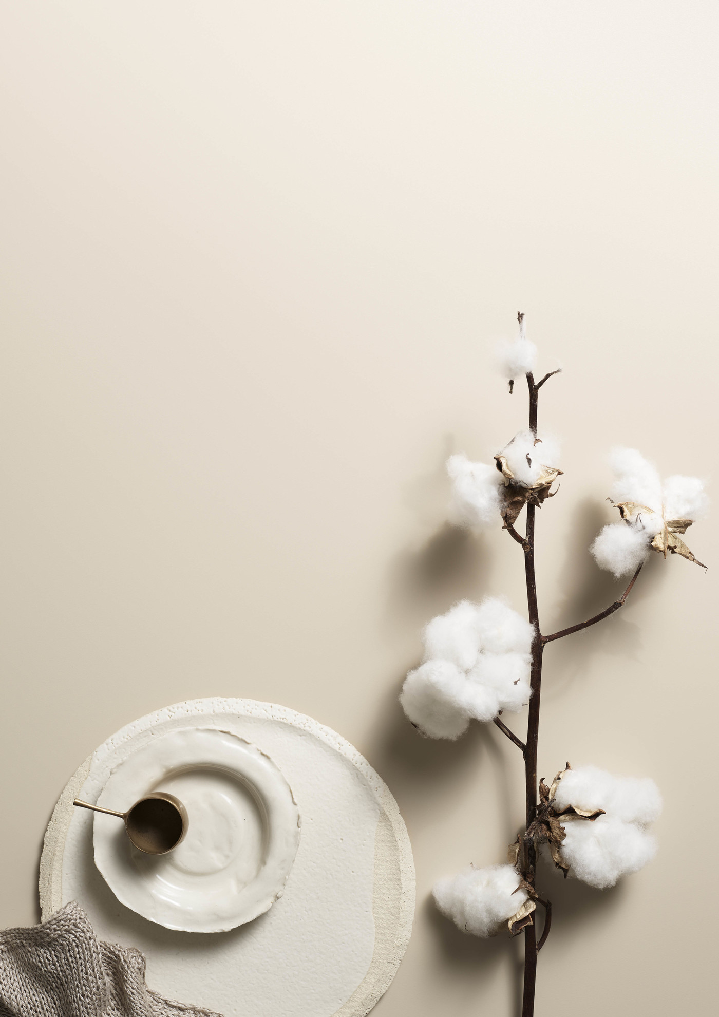 Elegant still life featuring a cotton plant, white ceramic plates, a small metal cup, and a textured gray cloth on a beige backdrop.