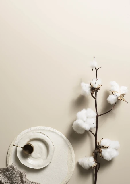 Elegant still life featuring a cotton plant, white ceramic plates, a small metal cup, and a textured gray cloth on a beige backdrop.