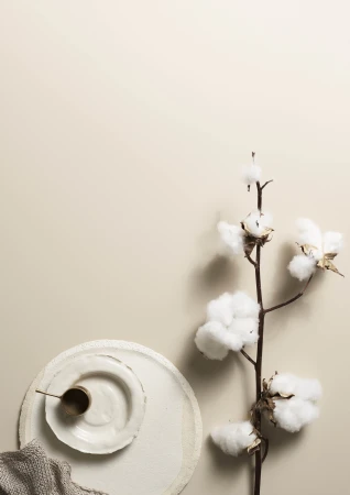 Elegant still life featuring a cotton plant, white ceramic plates, a small metal cup, and a textured gray cloth on a beige backdrop.
