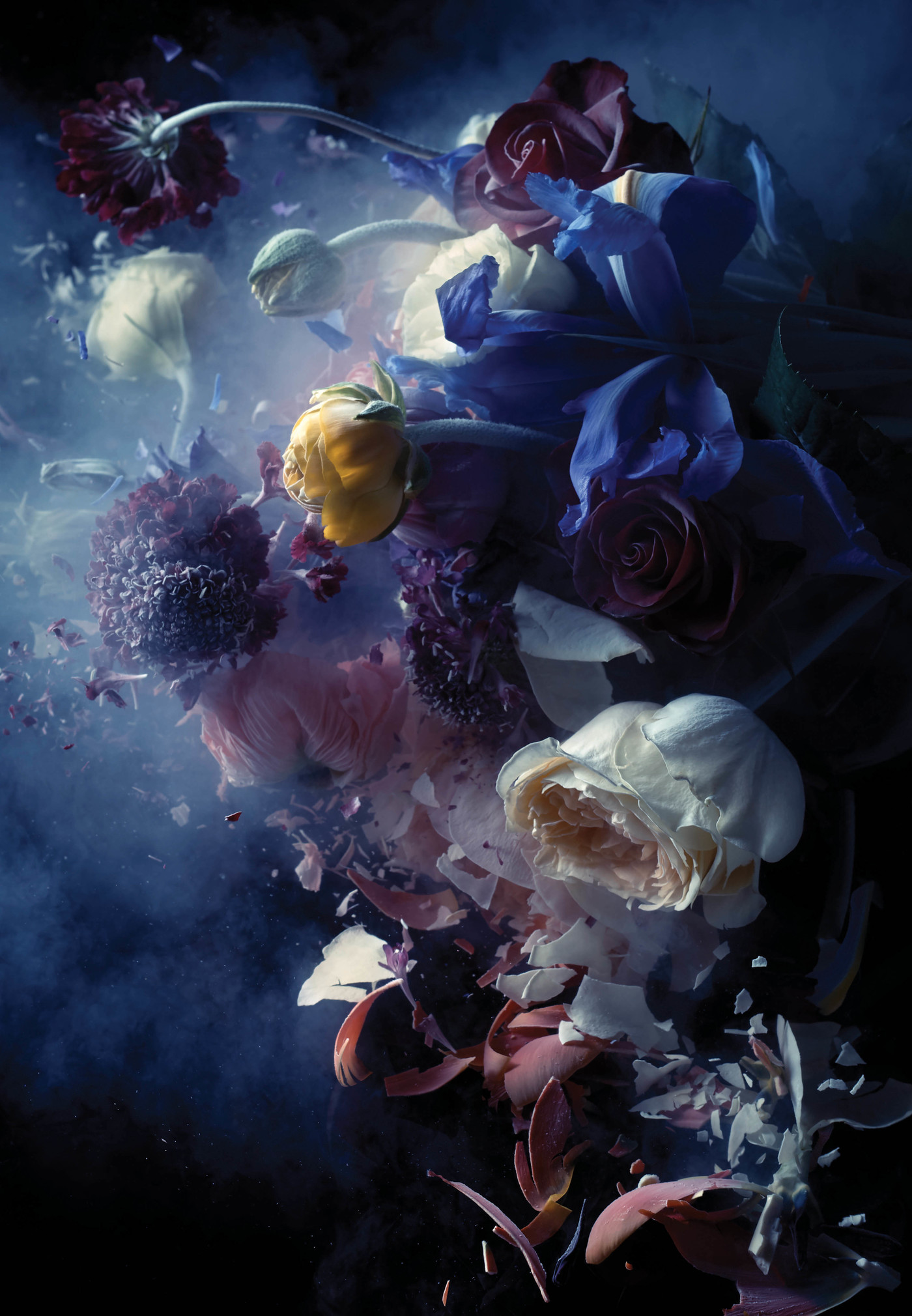 Dramatic floral arrangement with roses, mums, and shattered petals, bathed in moody blue lighting against a dark background.