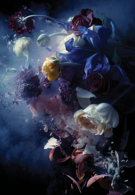Dramatic floral arrangement with roses, mums, and shattered petals, bathed in moody blue lighting against a dark background.