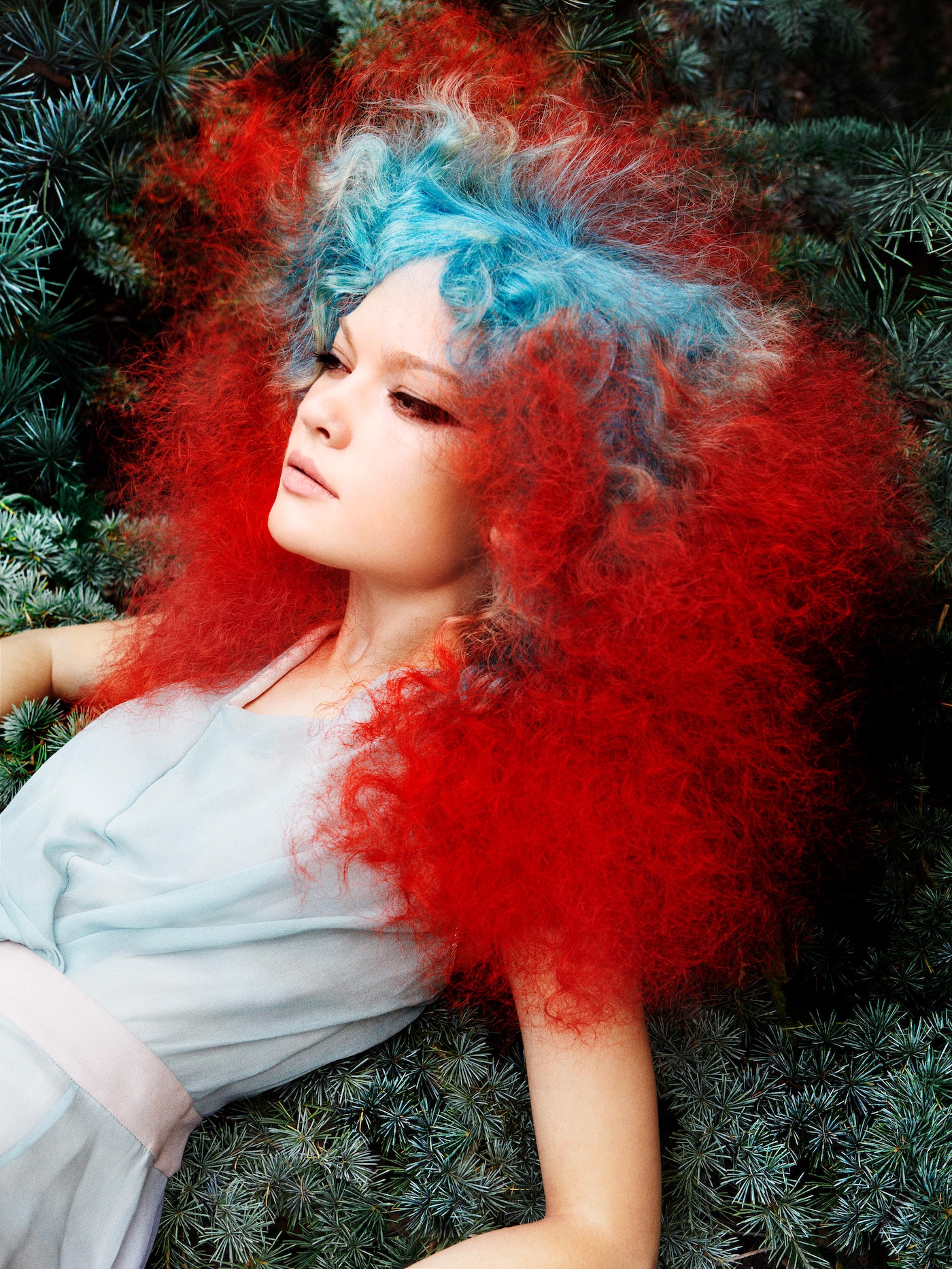 A fair-skinned woman with a blue and red afro hairstyle poses while lying amongst evergreen branches in an outdoor fashion portrait.