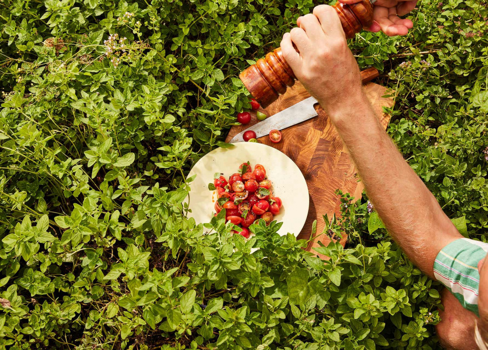 Overhead shot of hands using a pepper grinder over a salad on a plate surrounded by lush green herbs and a wooden cutting board.