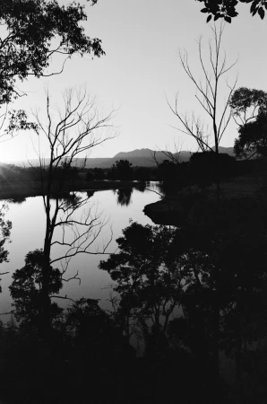 Monochrome landscape showing a winding river framed by silhouetted bare trees and distant rolling hills under a bright sky