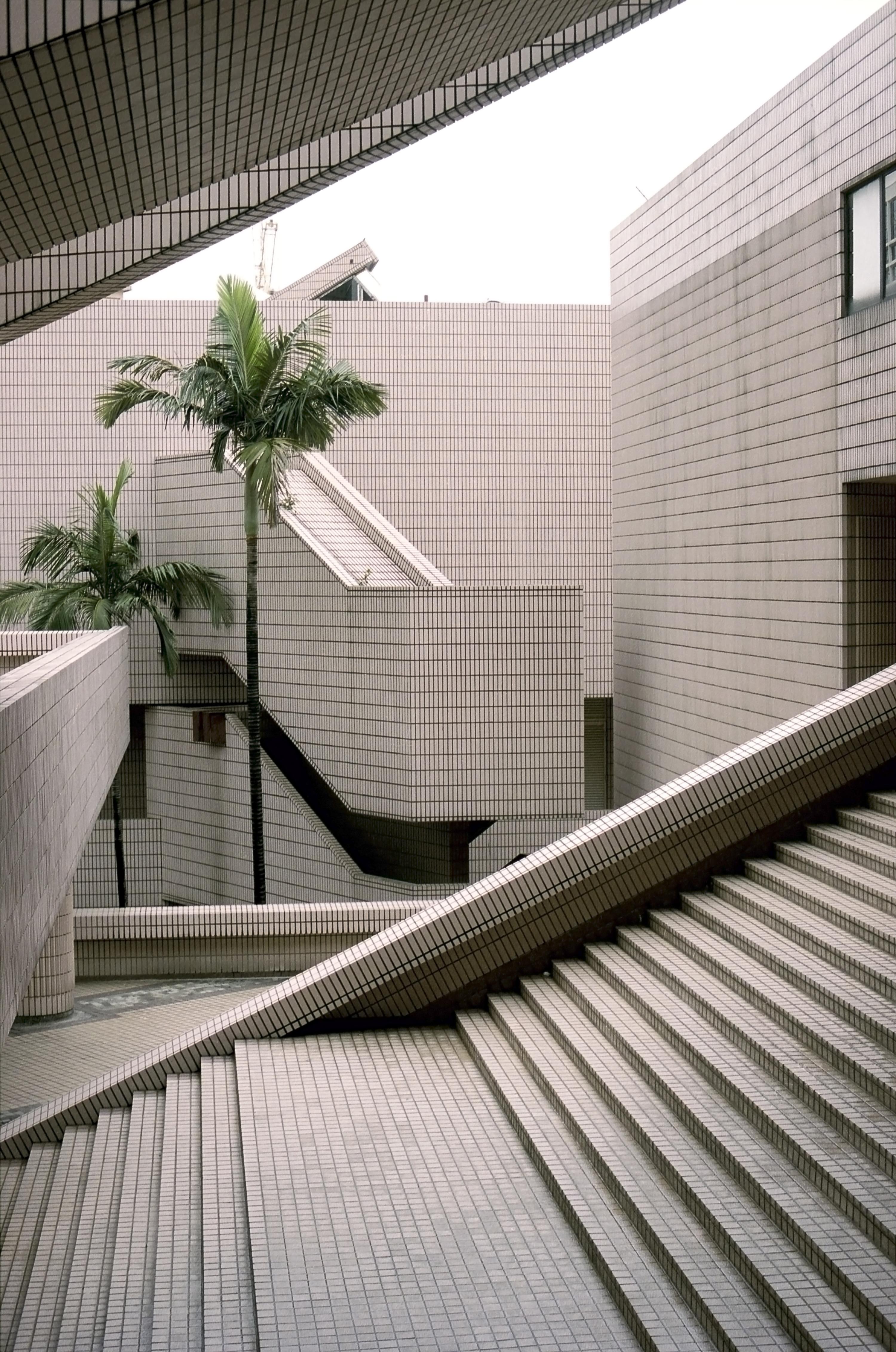 Architectural view of tan tile buildings with palm trees and geometric lines, creating a structured urban landscape and unique composition.