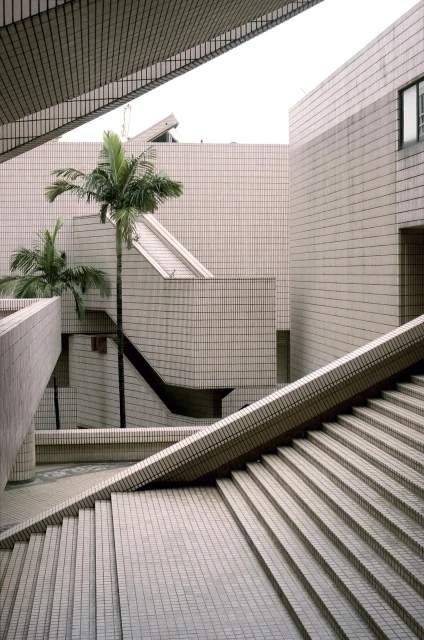 Architectural view of tan tile buildings with palm trees and geometric lines, creating a structured urban landscape and unique composition.