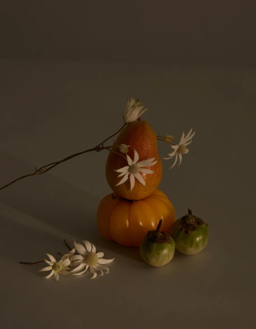 Still life photograph of a pear atop a pumpkin, adorned with white flowers, accompanied by two green eggplants on a neutral surface.