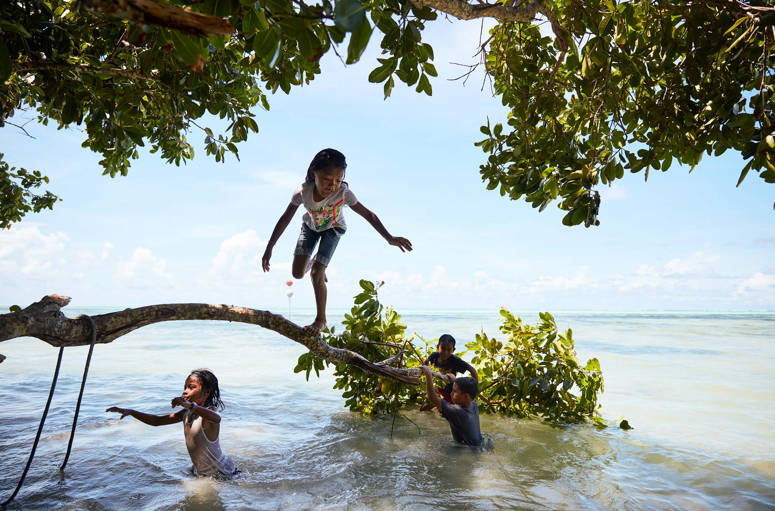A group of children playing in shallow ocean water near a fallen tree branch and lush green trees under a bright, sunny sky.