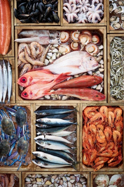 Jamie Macfadyen